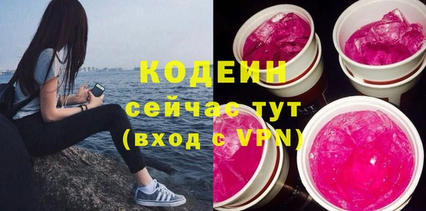 молекула духа Вяземский