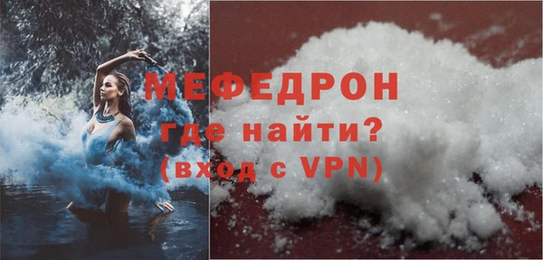 молекула духа Вяземский