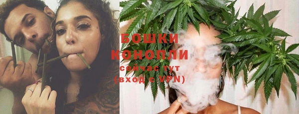 PSILOCYBIN Вязники