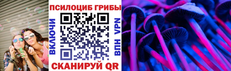 дарк нет наркотические препараты  что такое наркотик  Новодвинск  Галлюциногенные грибы MAGIC MUSHROOMS  гидра маркетплейс 